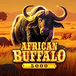 African Buffalo 5000